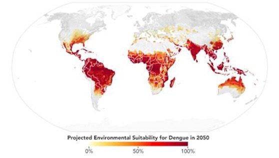 El Niño and global dengue outbreak risk